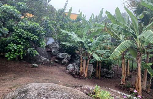 Sitio Esquina da Serra - Foto 46