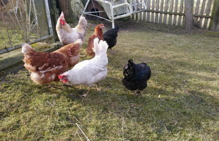 "Haus Ulla" - Foto 19