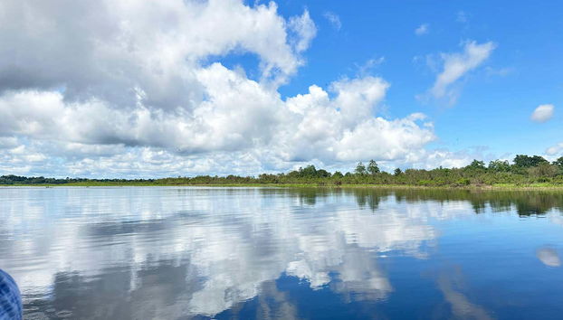 4-Day Amazon River Cruise - Foto 4