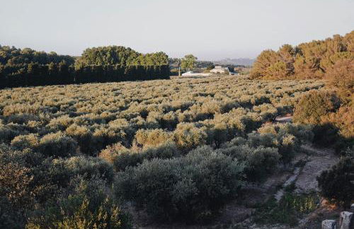 Le petit cabanon en Provence - Foto 15