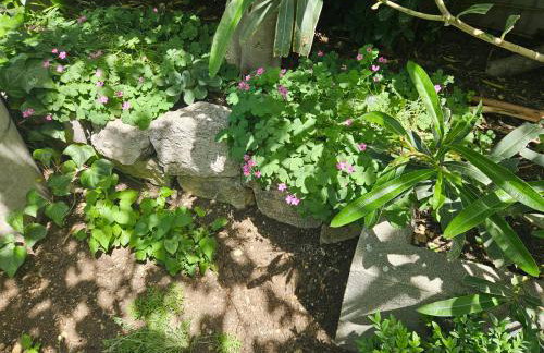 Apartmani Marinović - Foto 20