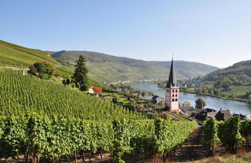 Ferienwohnung am Moselufer - Foto 32