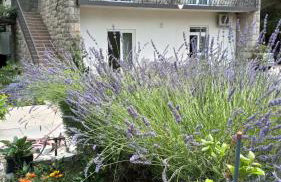 Apartments Duras - Photo 1