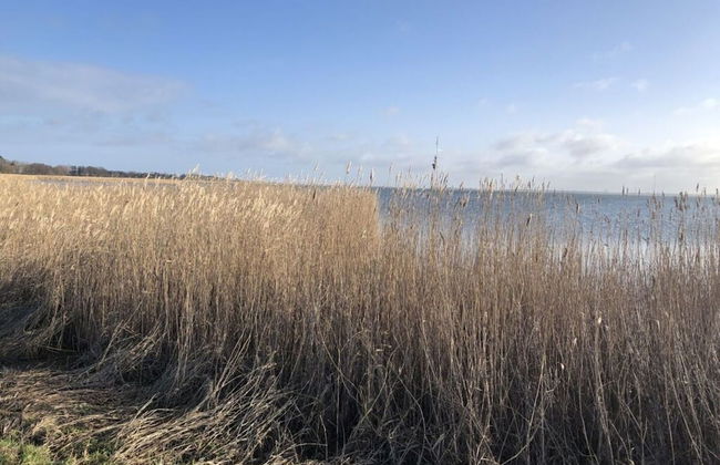 Fabian Comfortable Holiday Residence - Photo 15