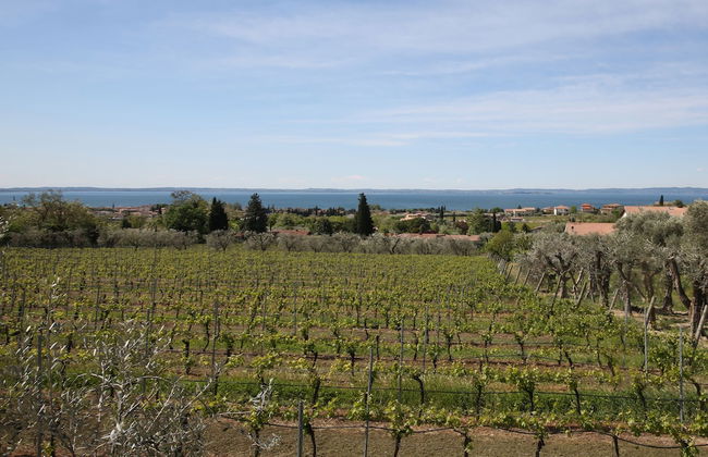 Appartamenti Bellavista - Foto 30