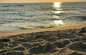 Casa vacanza Le due Stelle - Foto 27