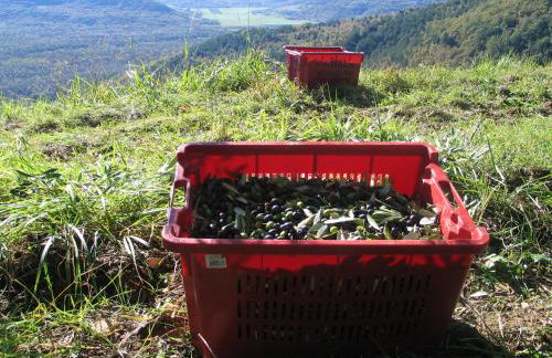 Apartman CASA MARŠIĆ - Foto 25