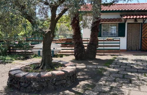 Risveglio sull'Etna - Foto 14