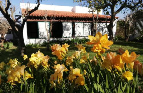 CASA RURAL LIMÓN Y SOL - Foto 8