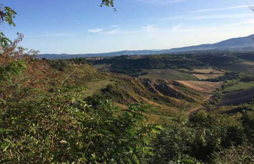 Podere Porcino - Foto 28