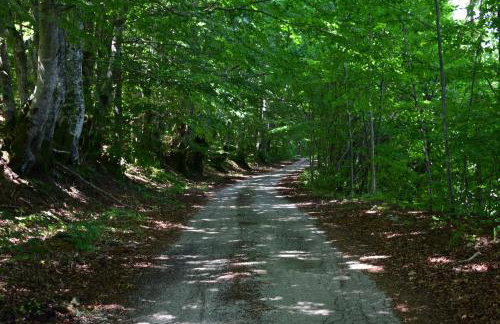 Plitvice Panta Rei - Foto 44