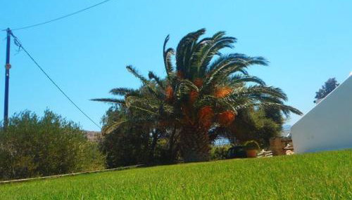 Porto Kalma - Photo 4, Garden