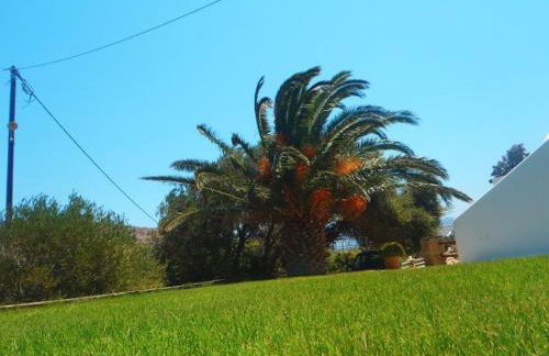 Porto Kalma - Photo 4