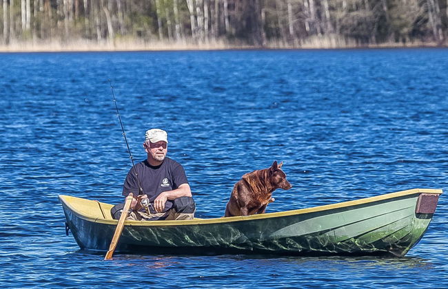 Myllymökki - Photo 6