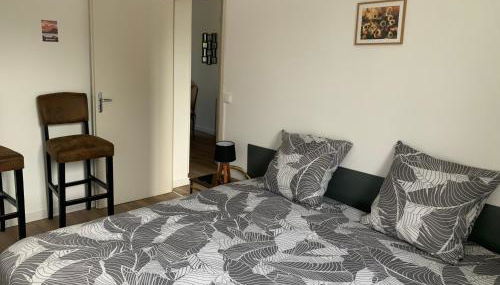 Appt 1er étage avec jardin partagé - Photo 3