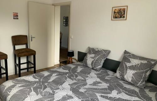 Appt 1er étage avec jardin partagé - Photo 3