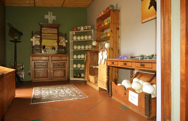 Berluda Farmhouse & Cottages - Photo 57