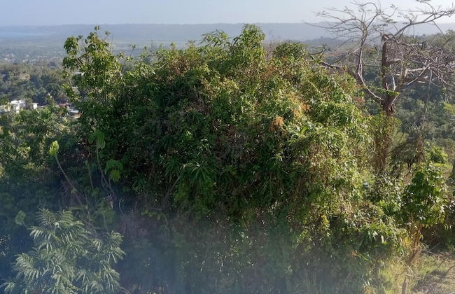 Aguada Farm & Eco-Lodge - Photo 11