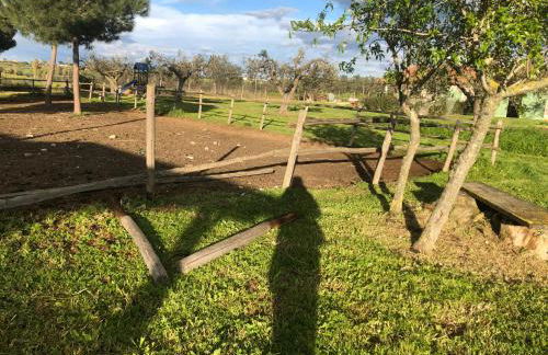 Agriturismo Casale San Benedetto - Foto 77