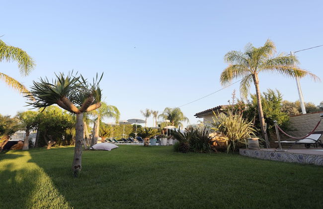 Dea Degli Ulivi House - Photo 41