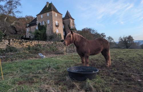 Manoir du Boscau, Louis IX - Foto 9