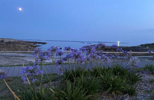 Appartement avec terrasse vue mer, parking privé (lgt B) - Foto 9