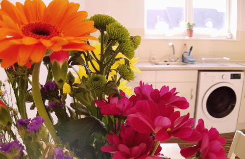 Hill View 2 bedroom free parking - Photo 18