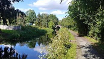 Honey Bee Cottage Tiny House Welshpool - Photo 2