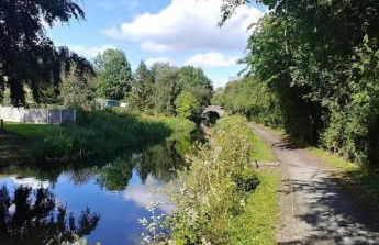 Honey Bee Cottage Tiny House Welshpool - Photo 2