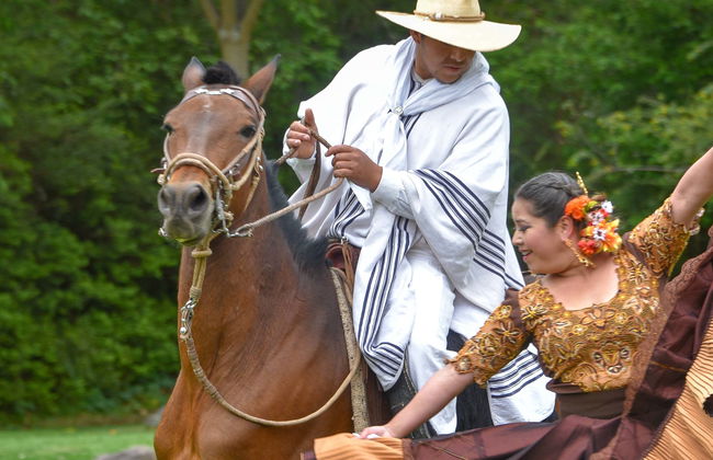 Marinera Show + Peruvian Paso Horses - Photo 3