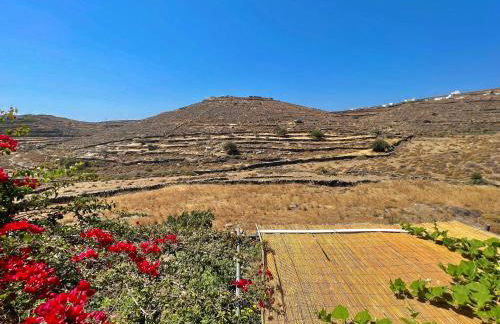 Lemon houses - Faros, Sifnos - Foto 40