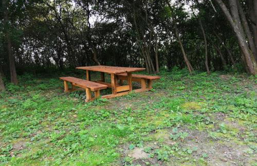 Mazurska Knieja - Foto 43