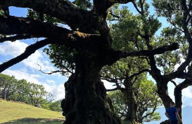 The Green Valley House II - Foto 52