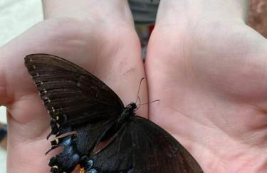 Home in the Heart of W.V. Adventure Country! - Photo 49