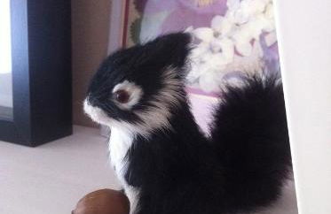 Carpe Diem - Foto 16