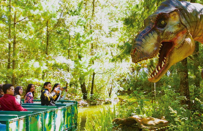 Excursión al Bioparque Estrella - Photo 5