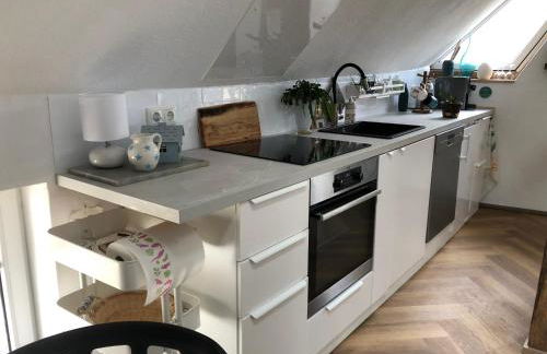 Boutique Ferienwohnung Schwalbenstall Uissigheim - Foto 5