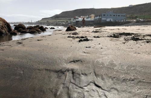 Nueve Pies Surf casita - Foto 40