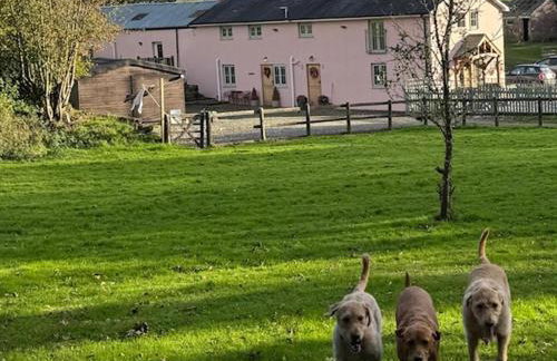 Ty Llaeth 2-Bed Cottage Sleeps 4 Pet Friendly - Foto 19