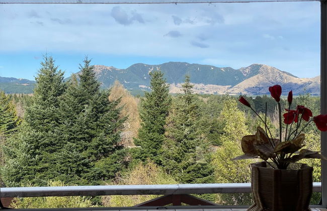 43 Alpine Ave - Photo 20