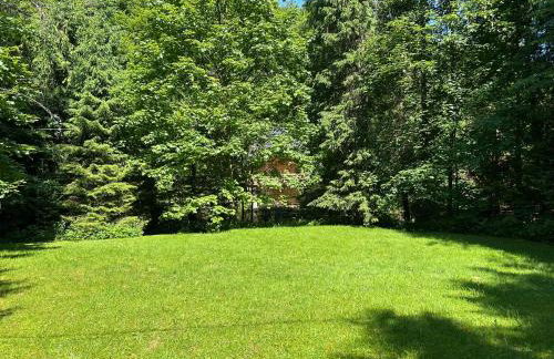 Forest House- dom nad górskim potokiem - Foto 18