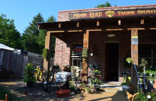 Blueberry Farm Cottage, Hot Tub, Creek, Game Room - Foto 8