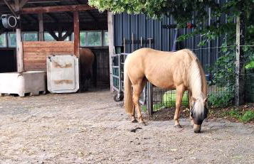 Ferienwohnung Eulennest, 35230 - Foto 3