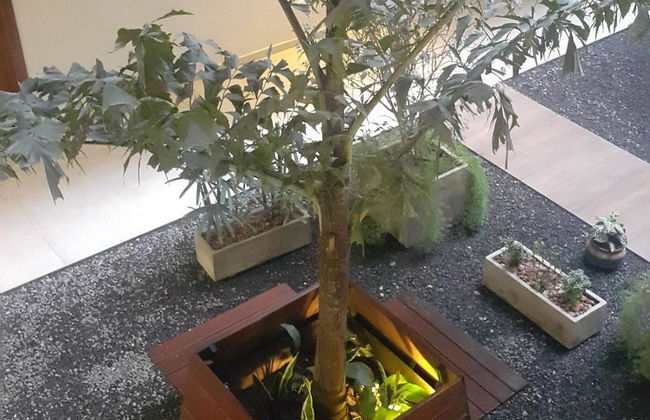 Start Villa Morra - Foto 6