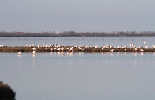 Casa Oriana - Foto 41