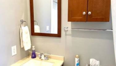 Spacious Historic Apartments In Lakeview Chicago - Walk to Wrigley, Nightlife, Shops, Hospitals - Foto 4