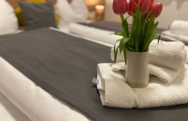 Art Apart Nomay - Foto 16