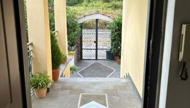 Vesuvius garden - Photo 4