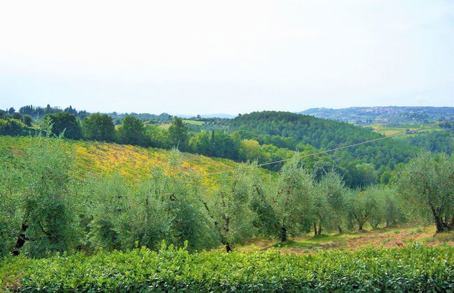 Farmhouse in Tuscany With Pool & Wine Tasting - Foto 27