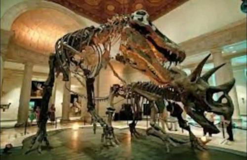 Spacious 2 bed 2 bath, Pool, Hottub, Wifi, 24 hr Fitness, Parking - Foto 46